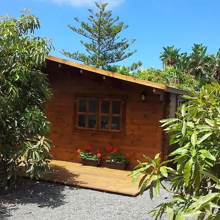 Bougainville Holiday home La Orotava