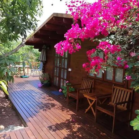 Bougainville