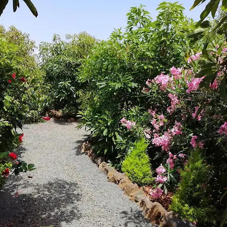 Bougainville Holiday home La Orotava
