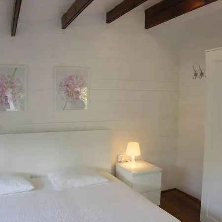 Bougainville La Orotava