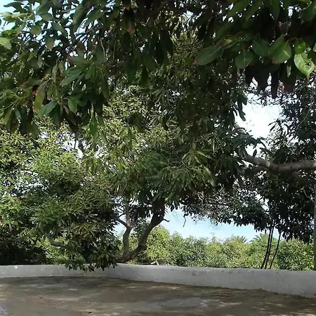 Holiday home Bougainville
