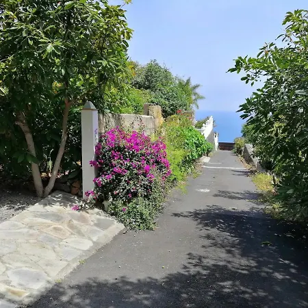 Bougainville *